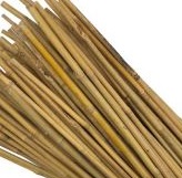 Bamboo Canes 6ft Bamboo Canes 6ft