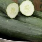 CUCUMBER F1 Peticue CUCUMBER F1 Peticue