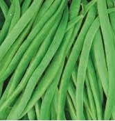 RUNNER BEAN Enorma RUNNER BEAN Enorma
