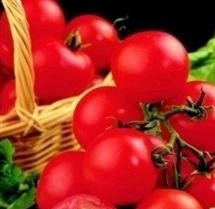 TOMATO F1 Shirley TOMATO F1 Shirley